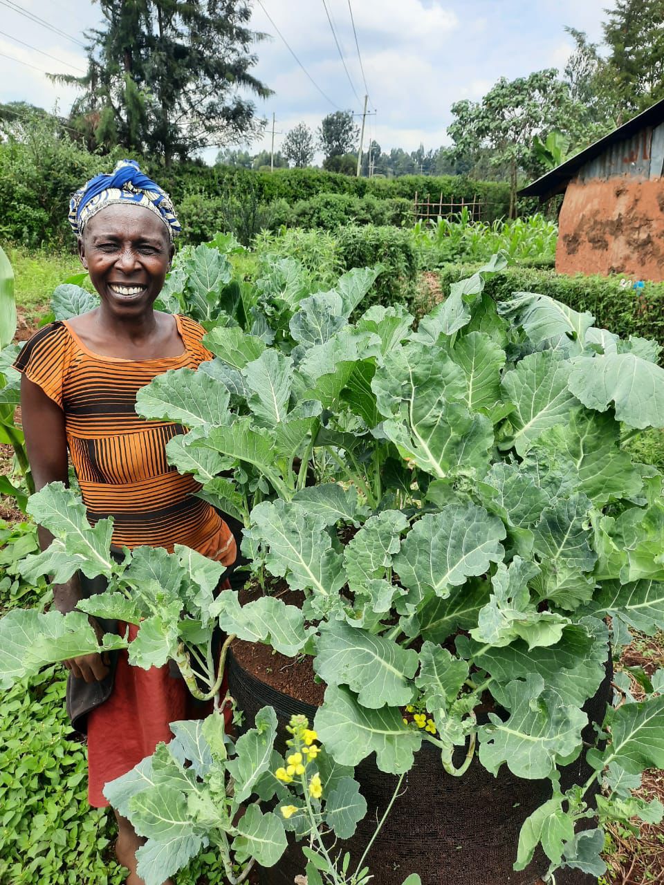 Garden Towers: Fighting Hunger in Kenya One Family at a Time — Expeditions story from 100 Humanitarians in Kenya
