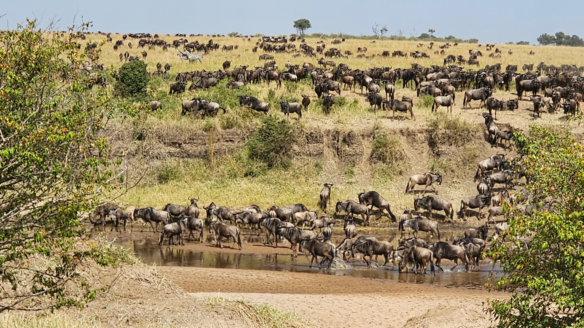 Best Time to Visit Kenya for a Humanitarian Trip — Guides story from 100 Humanitarians in Kenya