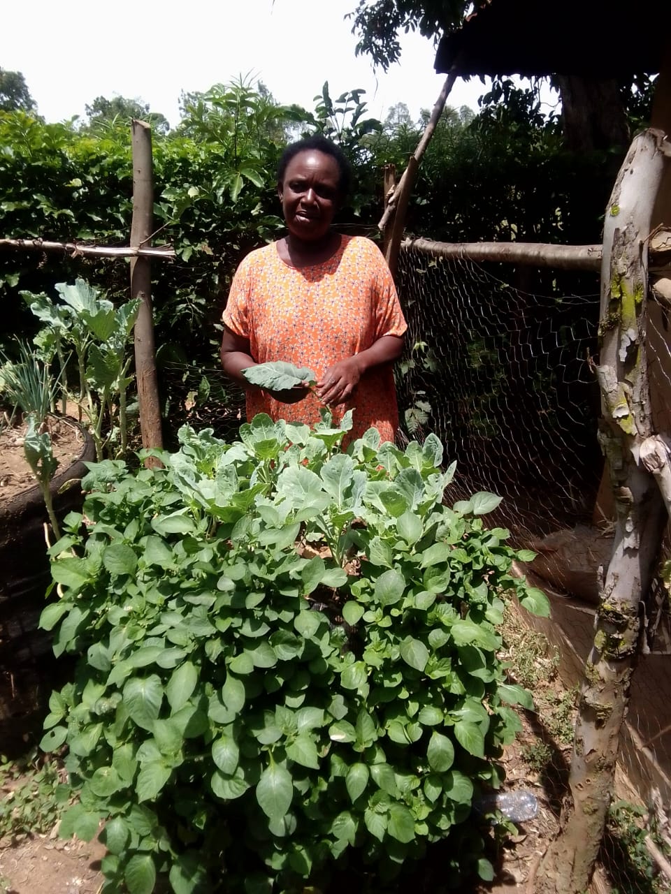 How Garden Towers Empower Women and Families in Kenya — Expeditions story from 100 Humanitarians in Kenya